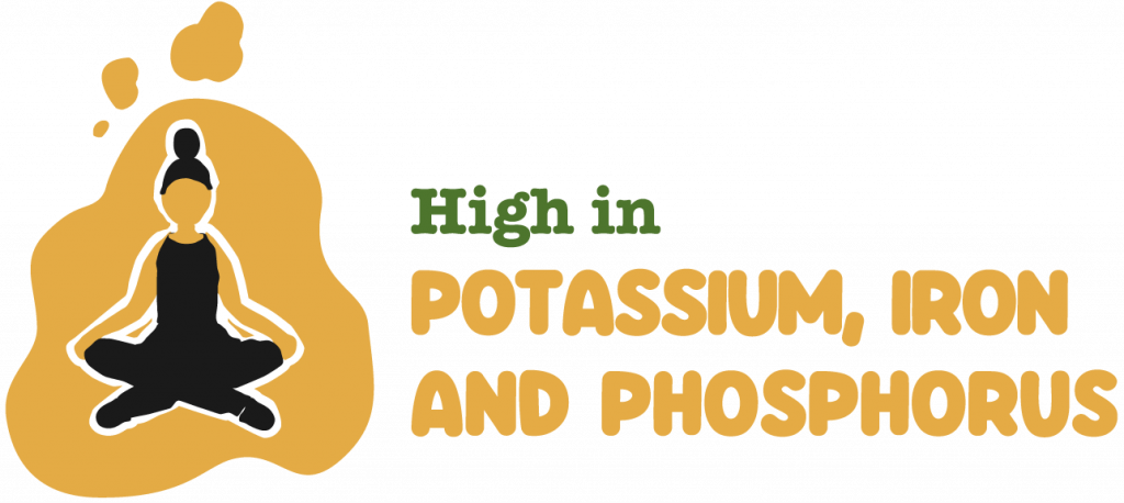 Colorful and fun image with the title 'High in phosphorus, potassium, and iron' and a drawing of a girl who seems to be doing yoga or meditating. The image highlights the benefits of raw courgette due to its high content of potassium, which benefits the nervous system, muscles, and blood pressure, iron, which aids cognitive function, energy catabolism, red blood cell formation, oxygen transport, the immune system, and helps reduce tiredness and fatigue, and phosphorus, which benefits energy metabolism and bone and tooth health.