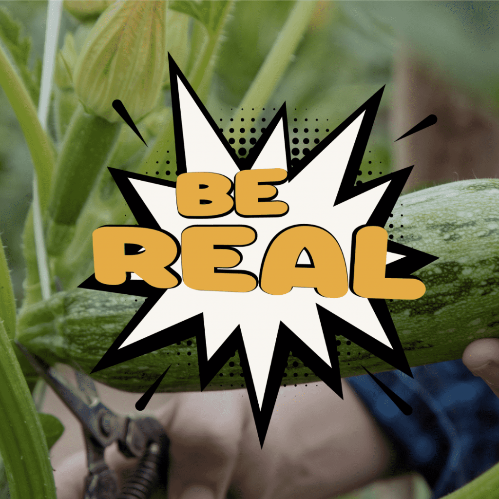 magen de la recolección del calabacín con una exclamación de cómic encima que dice 'be real'. Acompaña al texto del blog que habla sobre la naturalidad, la tierra, Crü y la importancia de ser real, y explica el proceso de cosecha y entrega de Crü.